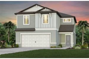 33417 Binding Ties Ln, WESLEY CHAPEL