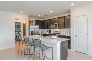 33417 BINDING TIES LANE, WESLEY CHAPEL, FL 33545 - MLS#MFRTB8403766