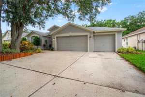 18240 Collridge Dr, TAMPA