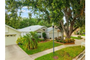 18240 COLLRIDGE DRIVE, TAMPA, FL 33647 - MLS#MFRTB8403785