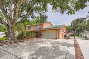 15508 Wetstone Dr, TAMPA
