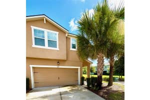 6221 Scarlet Darter Way, TAMPA