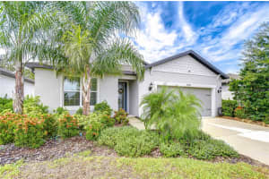 12951 Brookside Moss Dr, RIVERVIEW