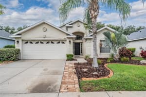 6047 DESERT PEACE AVE, LAND O LAKES, FL 34639 Sold 08/25/25