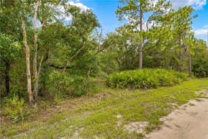 0000 MARSH OWL AVENUE, WEEKI WACHEE, FL 34614 - MLS#MFRTB8403909
