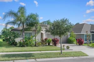 11303 MISTY MOSS DRIVE, WIMAUMA, FL 33598 - MLS#MFRTB8403919