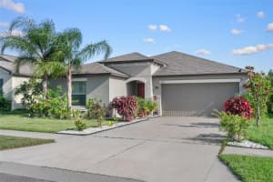 11303 MISTY MOSS DRIVE, WIMAUMA, FL 33598 - MLS#MFRTB8403919