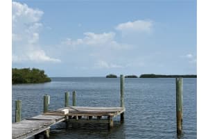 1020 CANAL STREET, RUSKIN, FL 33570 - MLS#MFRTB8403983