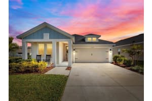 15207 Caravan, ODESSA