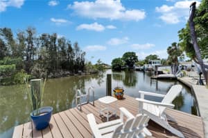 8702 Driftwood Dr, TAMPA