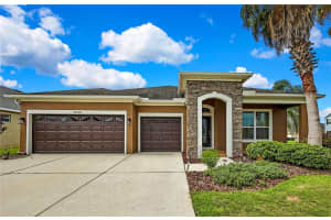 31518 Bearded Oak Dr, WESLEY CHAPEL