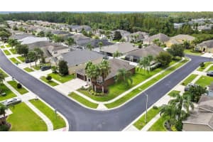 31518 BEARDED OAK DRIVE, WESLEY CHAPEL, FL 33543 - MLS#MFRTB8404033