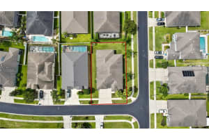 31518 BEARDED OAK DRIVE, WESLEY CHAPEL, FL 33543 - MLS#MFRTB8404033