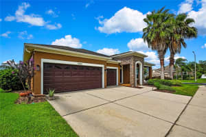31518 BEARDED OAK DRIVE, WESLEY CHAPEL, FL 33543 - MLS#MFRTB8404033