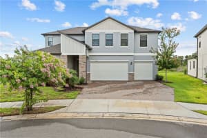22034 Storybook Cabin Way, LAND O LAKES