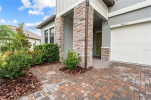 22034 STORYBOOK CABIN WAY, LAND O LAKES, FL 34637 - MLS#MFRTB8404043