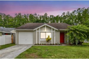 12315 HIDDEN BROOK DRIVE, TAMPA, FL 33624 Sold 08/15/25