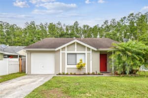 12315 HIDDEN BROOK DRIVE, TAMPA, FL 33624 Sold 08/15/25