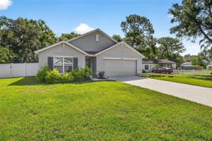 2448 DOTHAN AVENUE, SPRING HILL, FL 34609 - MLS#MFRTB8404092