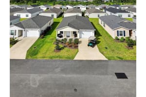 1214 EUNICE STREET, THE VILLAGES, FL 34762 - MLS#MFRTB8404120