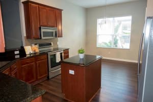 20117 HERITAGE POINT DRIVE, TAMPA, FL 33647 - MLS#MFRTB8404162