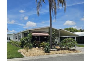 466 TROUT LANE, OLDSMAR, FL 34677 - MLS#MFRTB8404168