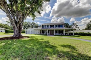 1971 HORSE SHOE BEND ROAD, DUNEDIN, FL 34698 - MLS#MFRTB8404180