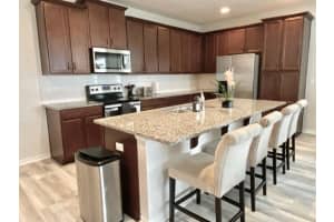1547 CAREY PALM CIRCLE, KISSIMMEE, FL 34747 - MLS#MFRTB8404193