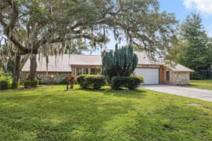 1116 DAGMAR AVENUE, SPRING HILL, FL 34606 - MLS#MFRTB8404209