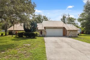 1116 DAGMAR AVENUE, SPRING HILL, FL 34606 - MLS#MFRTB8404209