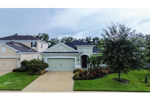 4239 COTTAGE HILL AVENUE, PARRISH, FL 34219 - MLS#MFRTB8404213