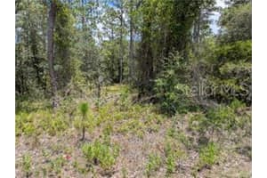 TBD RIDGEWOOD ROAD, DUNNELLON, FL 34431 - MLS#MFRTB8404234