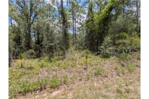 TBD RIDGEWOOD ROAD, DUNNELLON, FL 34431 - MLS#MFRTB8404234