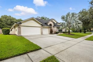17515 Edinburgh Dr, TAMPA