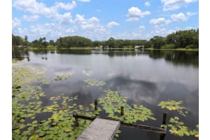1934 ROWLAND DRIVE, ODESSA, FL 33556 - MLS#MFRTB8404264
