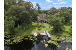 1934 ROWLAND DRIVE, ODESSA, FL 33556 - MLS#MFRTB8404264
