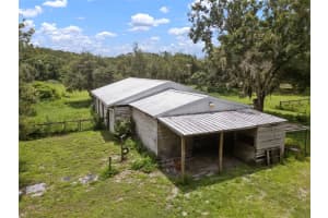 1934 ROWLAND DRIVE, ODESSA, FL 33556 - MLS#MFRTB8404264