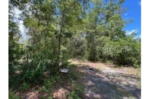 207 RIDGE STREET, POMONA PARK, FL 32181 - MLS#MFRTB8404303