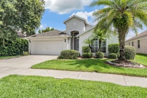 5503 Terrain De Golf Dr, LUTZ
