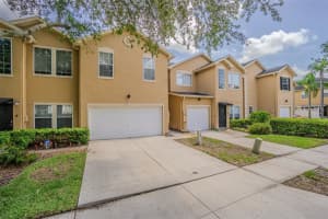 6208 Clifton Palms Dr, TAMPA