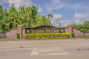 6208 CLIFTON PALMS DRIVE, TAMPA, FL 33647 - MLS#MFRTB8404306