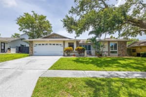 3437 Dove Hollow Ct, PALM HARBOR