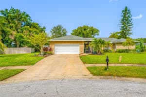 48 HILLSIDE COURT, PALM HARBOR, FL 34683 Sold 09/05/25