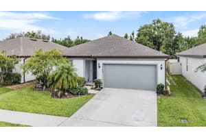 30180 Skylark Dr, WESLEY CHAPEL