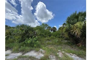 NACE CT, NORTH PORT, FL 34288 - MLS#MFRTB8404365
