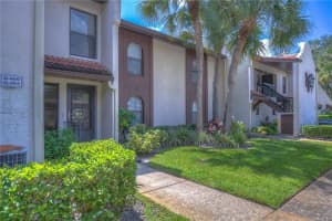 3505 TARPON WOODS BOULEVARD, PALM HARBOR, FL 34685 - MLS#MFRTB8404386