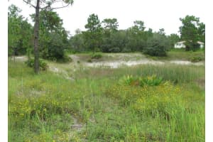 0 FULTON AVENUE, WEEKI WACHEE, FL 34613 - MLS#MFRTB8404474