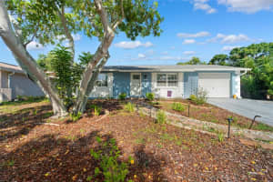 908 Toddsmill Trce, TARPON SPRINGS