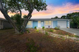 908 TODDSMILL TRACE, TARPON SPRINGS, FL 34689 - MLS#MFRTB8404505