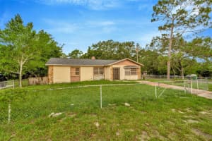 10210 16TH STREET, TAMPA, FL 33612 - MLS#MFRTB8404519